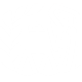 oss/direct-file